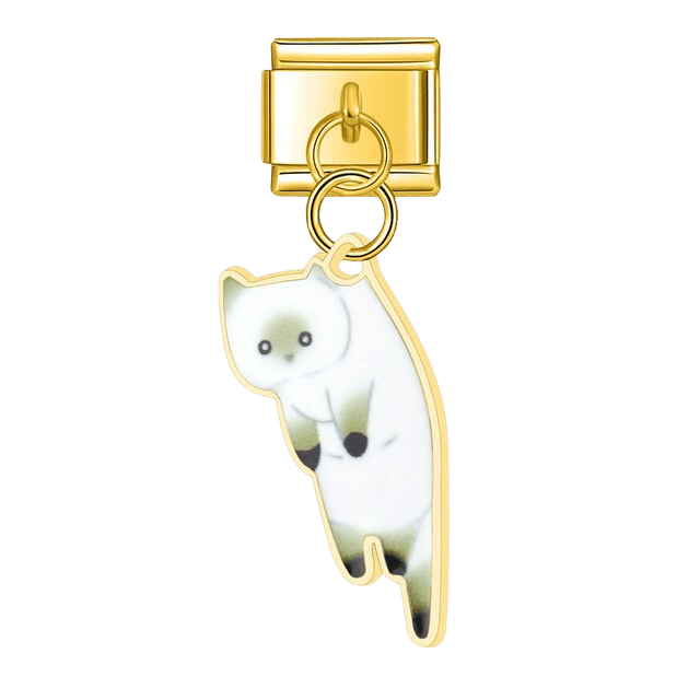 Dangling White Kitten