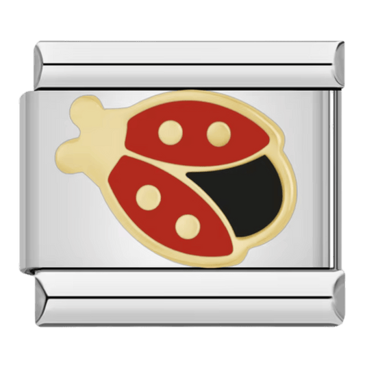 Lady Bug