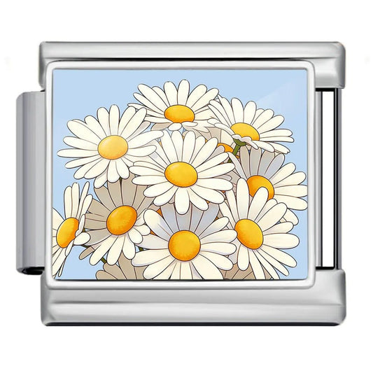 Daisies